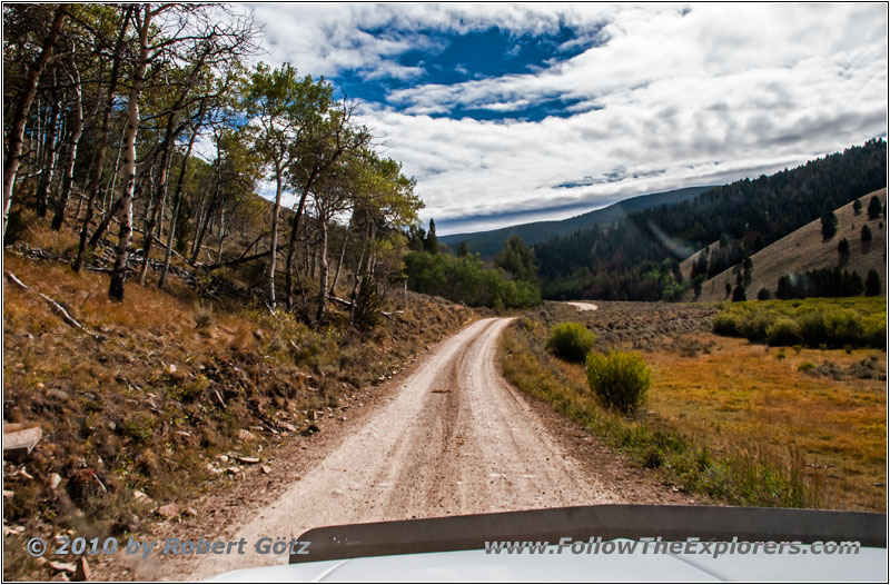 FR181/Bloody Dick Rd, MT