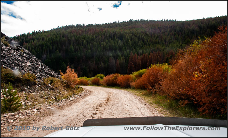 FR181/Bloody Dick Rd, MT