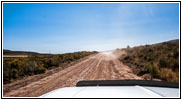 Reservation Rd, Dust Devil, ID