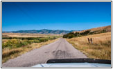 River Rd/Thatcher Rd, Bear River, ID