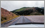 Dickhornschaf, FR218/Sheep Creek Geologic Loop, Utah