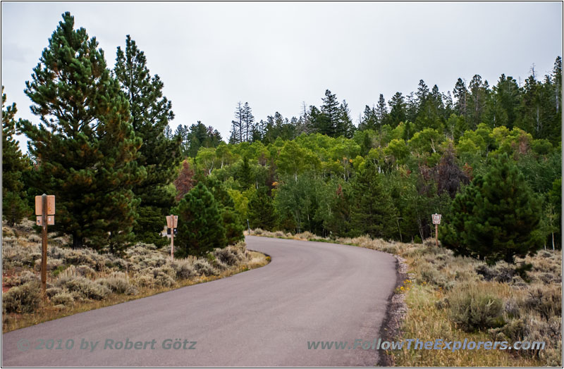 FR218/Sheep Creek Geologic Loop, Utah