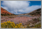 Sheep Creek Bay, Flaming Gorge, Utah