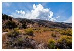 Backroad, Sheep Creek Bay, Flaming Gorge, Utah