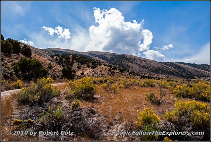 Backroad, Sheep Creek Bay, Flaming Gorge, Utah