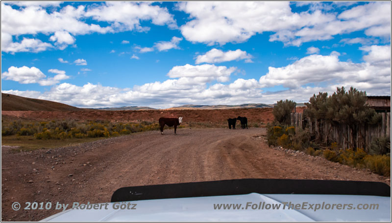 Vieh, Little Creek Rd, Utah