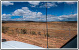 Gabelbock, New Canyon Rd, Utah