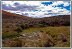 New Canyon Rd, Utah