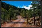 FR20058/New Canyon Rd, Cache National Forest, Utah