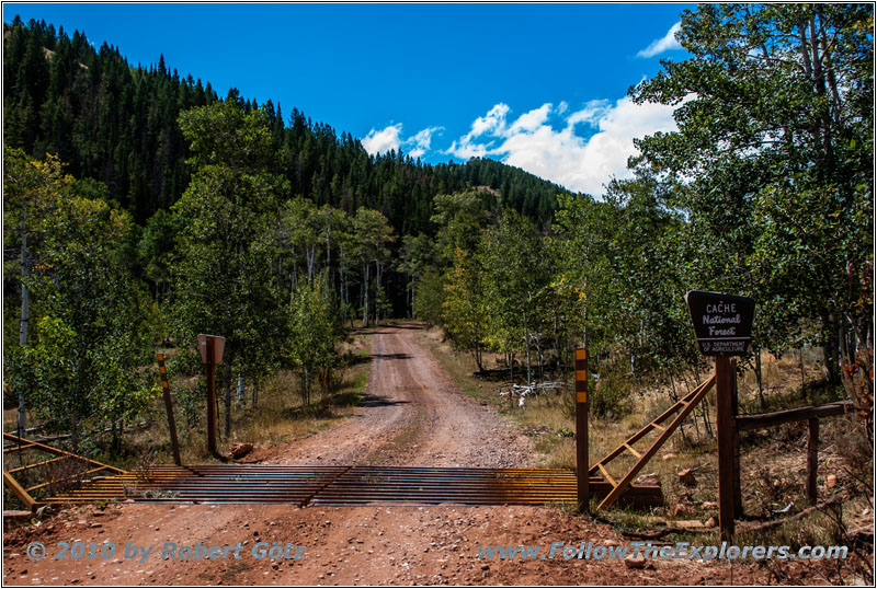 FR20058/New Canyon Rd, Cache National Forest, Utah