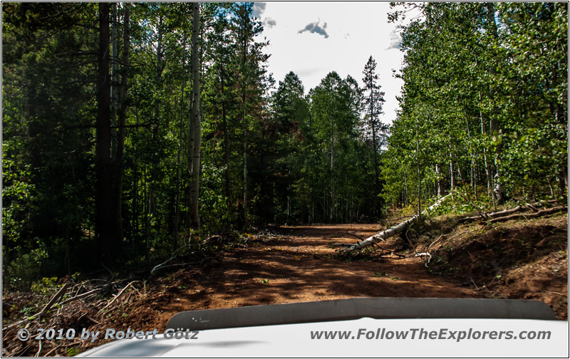 FR20058/New Canyon Rd, Utah