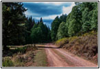 FR20058/New Canyon Rd, Utah