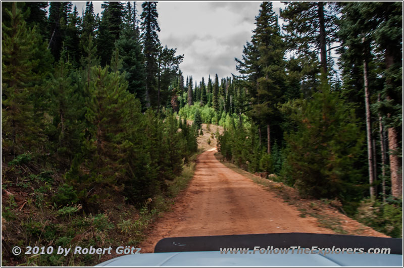 FR20058/New Canyon Rd, Utah