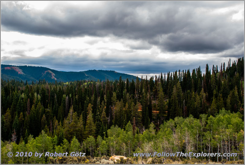 FR20058/New Canyon Rd, Utah