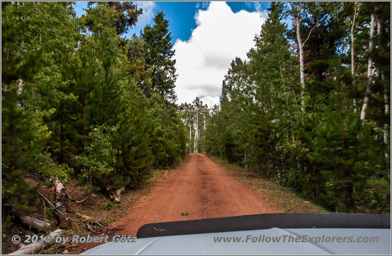 FR20058/New Canyon Rd, Utah