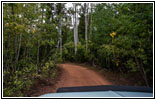 FR121/Goring Corral Rd, Utah