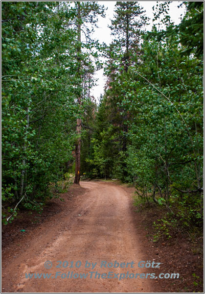 FR121/Goring Corral Rd, Utah