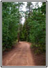 FR121/Goring Corral Rd, Utah