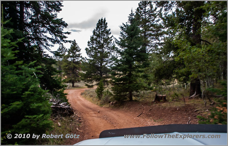 FR121/Goring Corral Rd, Utah