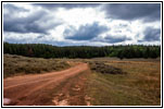 FR121/Goring Corral Rd, Utah