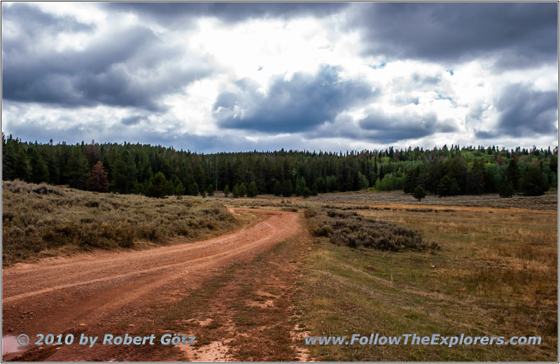 FR121/Goring Corral Rd, Utah