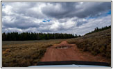 FR121/Goring Corral Rd, Utah