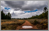 FR121/Goring Corral Rd, Utah