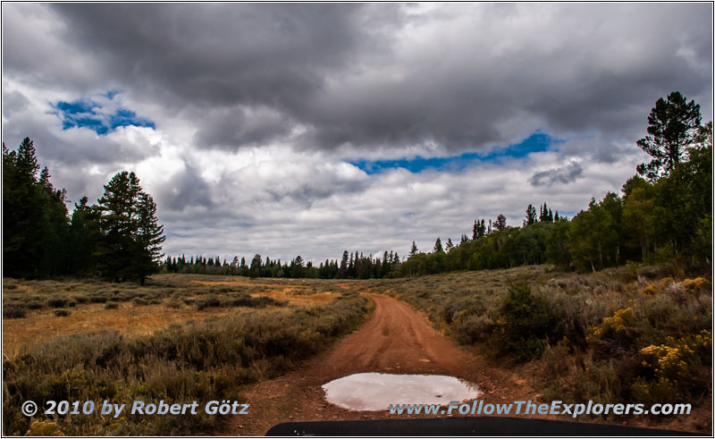 FR121/Goring Corral Rd, Utah