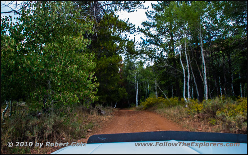 FR121/Goring Corral Rd, Utah