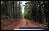FR121/Goring Corral Rd, Utah