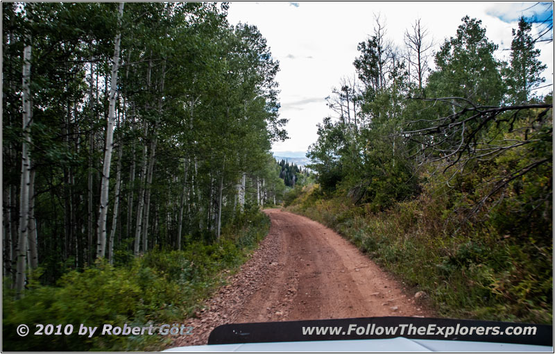 FR121/Goring Corral Rd, Utah