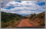 FR121/Goring Corral Rd, Utah
