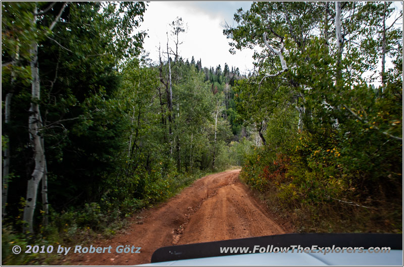 FR121/Goring Corral Rd, Utah