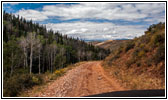 FR121/Goring Corral Rd, Utah