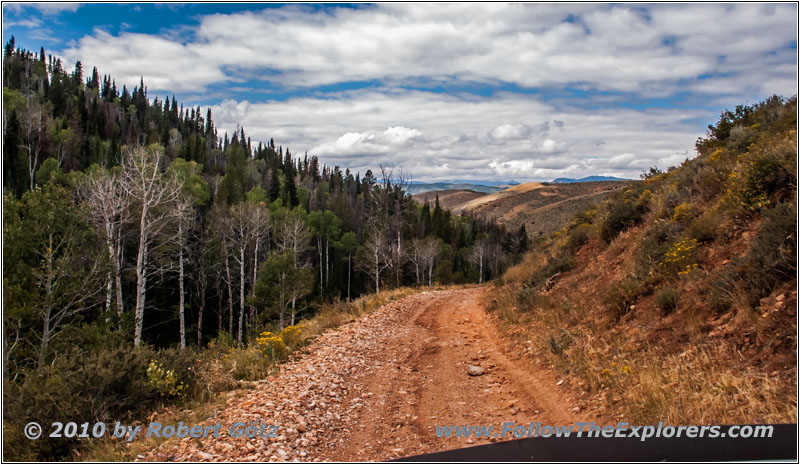 FR121/Goring Corral Rd, Utah