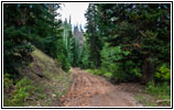 FR121/Goring Corral Rd, Utah