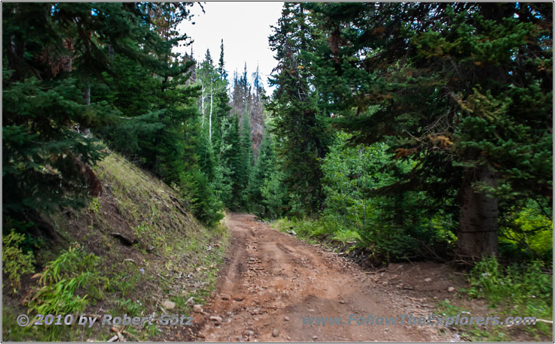 FR121/Goring Corral Rd, Utah