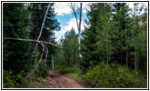 FR121/Goring Corral Rd, Utah