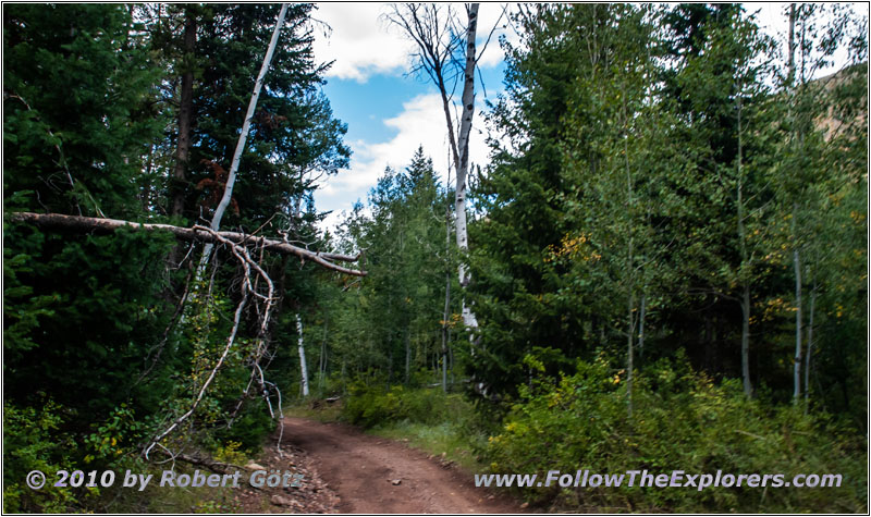 FR121/Goring Corral Rd, Utah