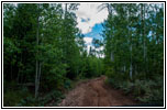 FR121/Goring Corral Rd, Utah