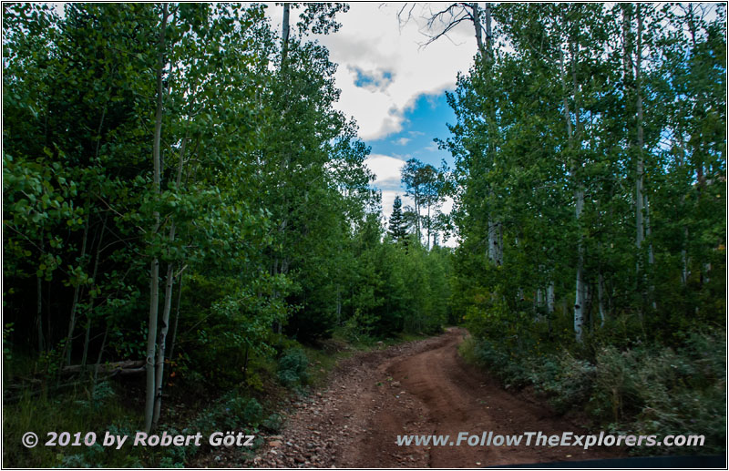 FR121/Goring Corral Rd, Utah