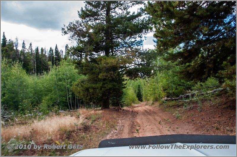 FR121/Goring Corral Rd, Utah
