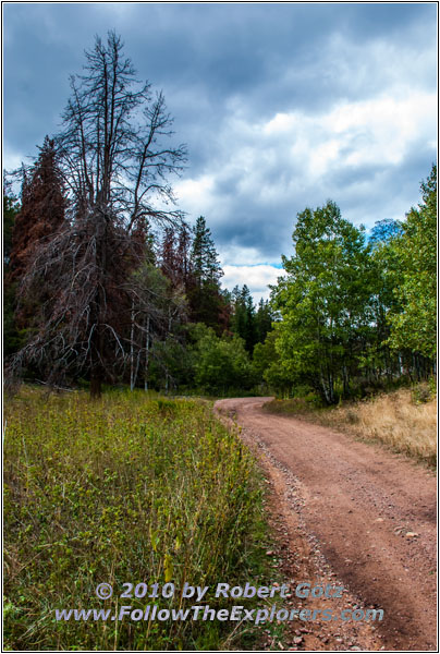 FR121/Goring Corral Rd, Utah
