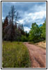 FR121/Goring Corral Rd, Utah