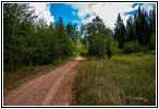 FR121/Goring Corral Rd, Utah