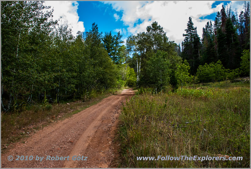 FR121/Goring Corral Rd, Utah