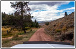 FR121/Goring Corral Rd, Utah