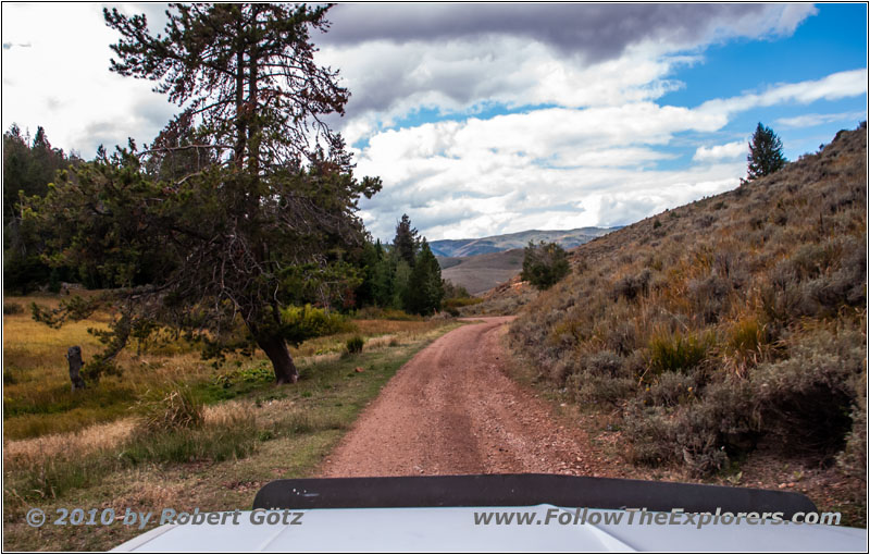 FR121/Goring Corral Rd, Utah
