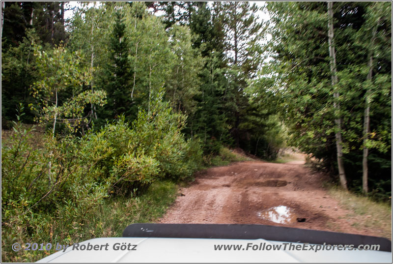 FR121/Goring Corral Rd, Utah