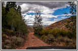 FR121/Goring Corral Rd, Utah
